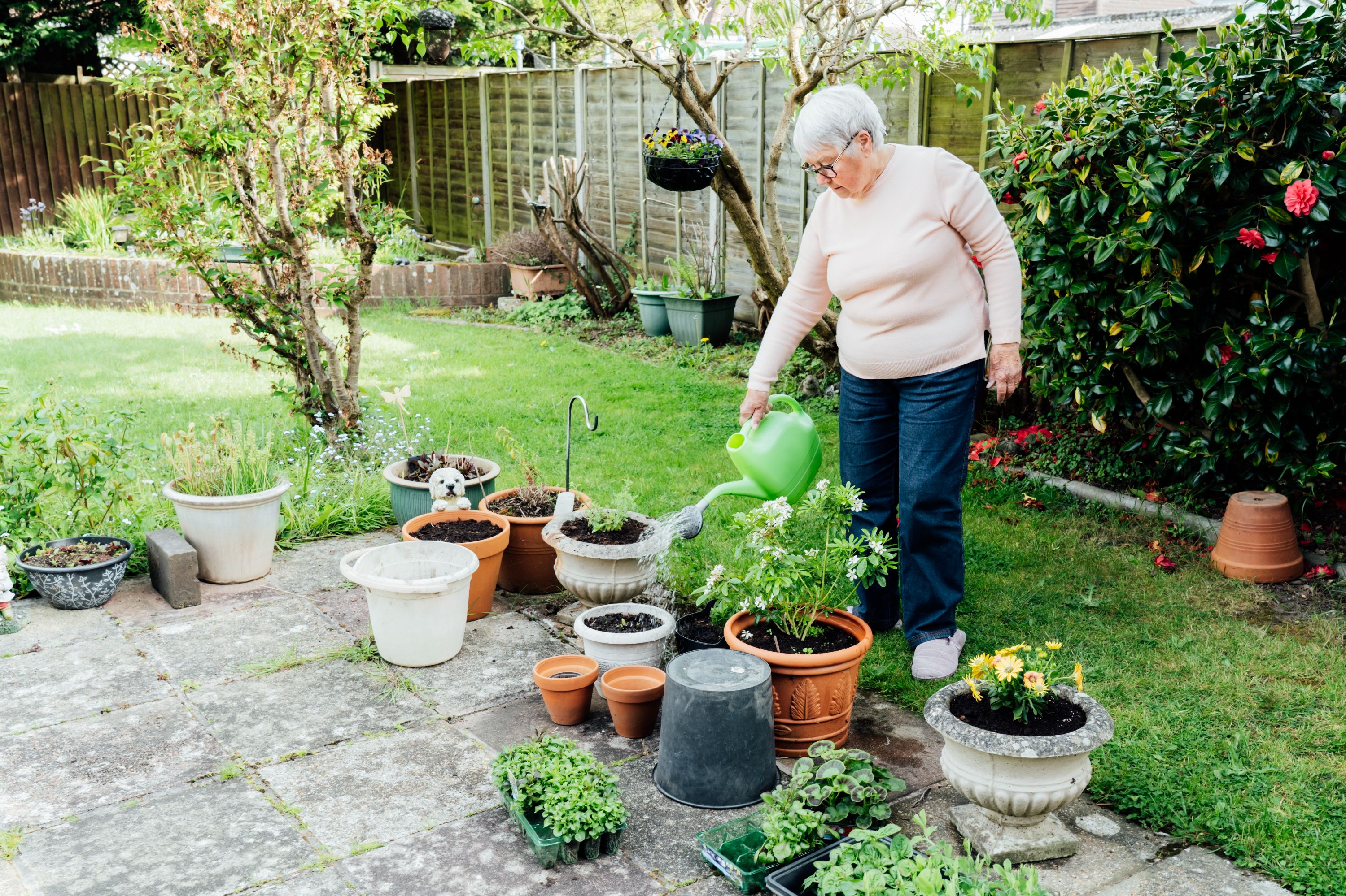 A lady watering plants in the garden