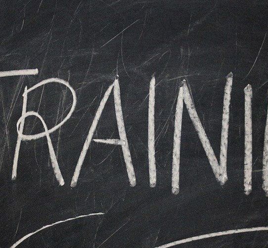 Are you a VCSE organisation that delivers training?