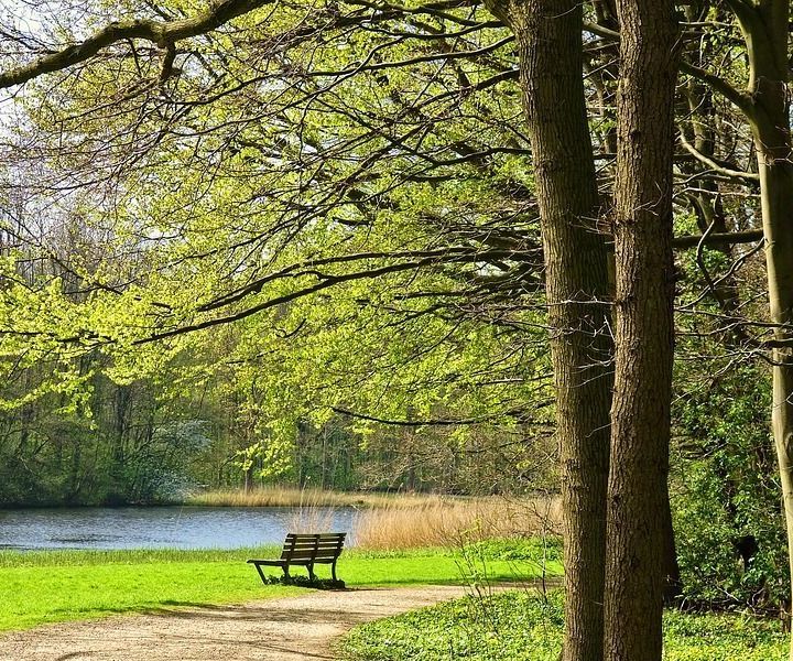 park-3353659_1280.jpg