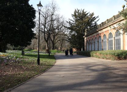 Arboretum Matters