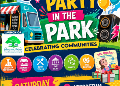 Community Party in the Park