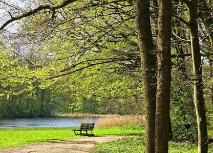 Wellbeing
